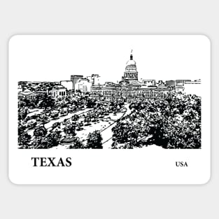 Texas State USA Sticker